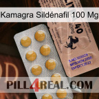 Kamagra Sildénafil 100 Mg 41
